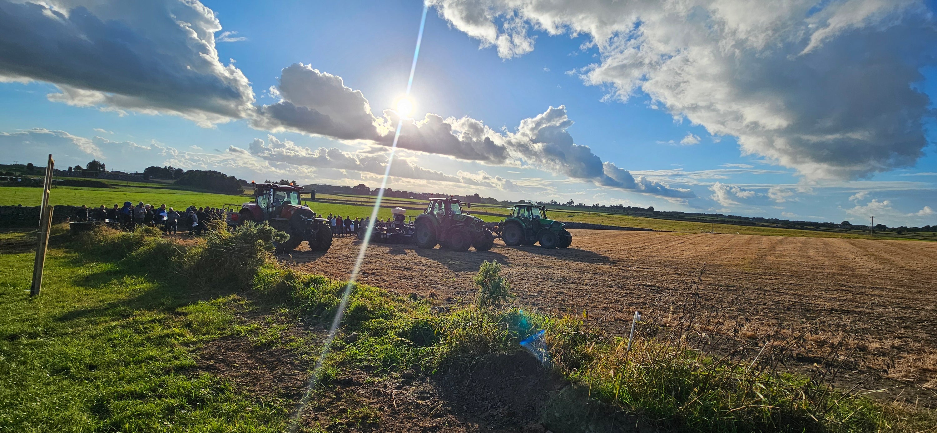 Reseeding the most cost-effective on farm investment