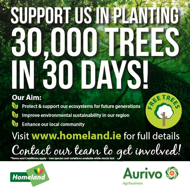 We Did It! - 30,000 Trees in 30 Days