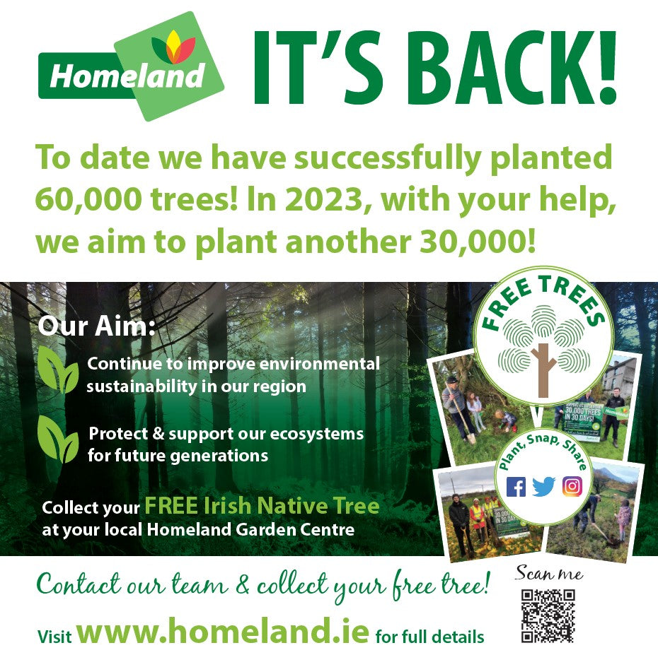 IT'S BACK: 30,000 Trees in 30 Days 2023