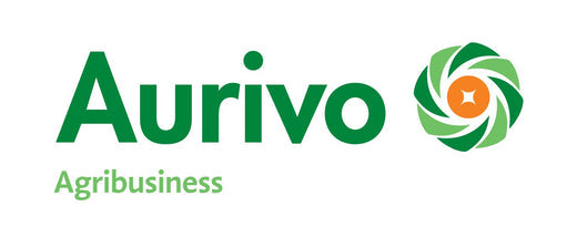 2025 Applications Now Open for the Aurivo Creeslough Student Support Programme