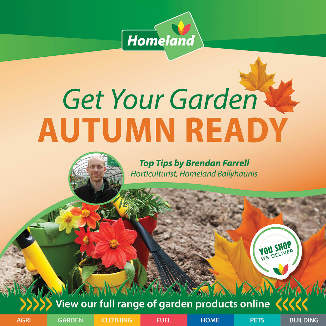 Get your Garden Autumn Ready - Tops Tips from our Homeland Garden Centre Team