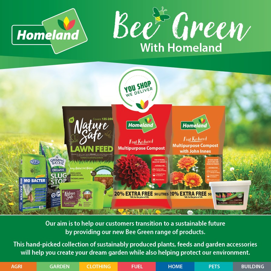 Bee Green with Homeland - An Introduction