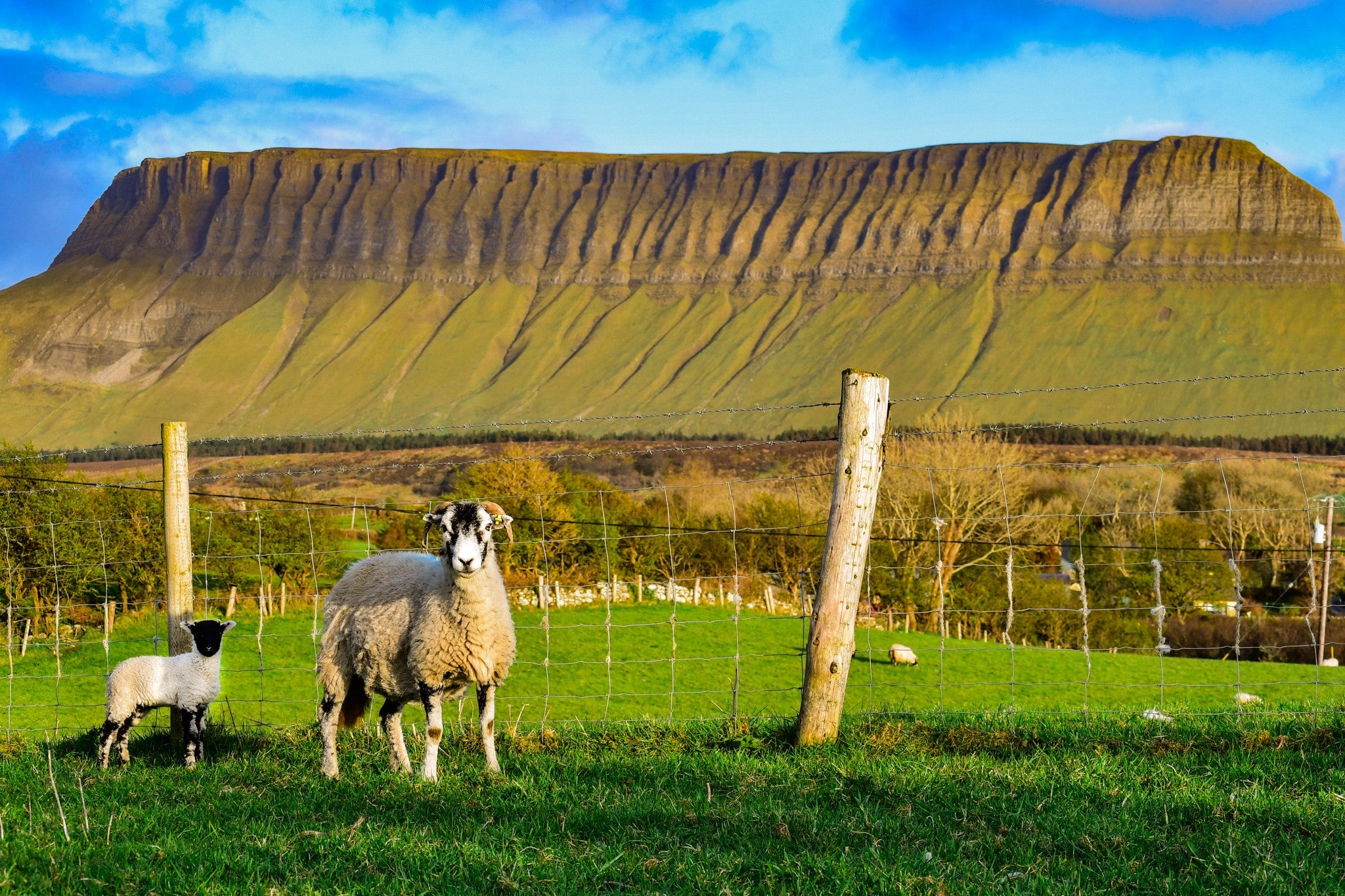 Farm Management Tips - May