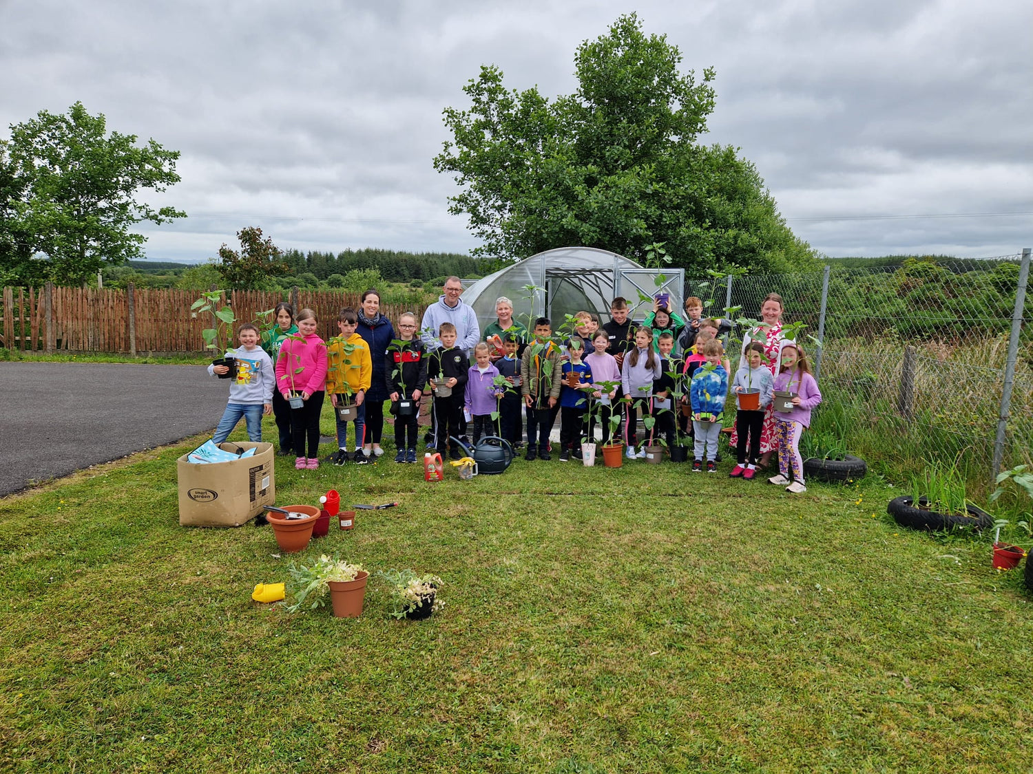 Homeland Sunflower Competition Results - St.Colman's National School Derrinabroc