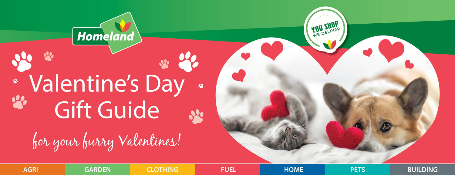 Spoil Your Pet This Valentine's Day!