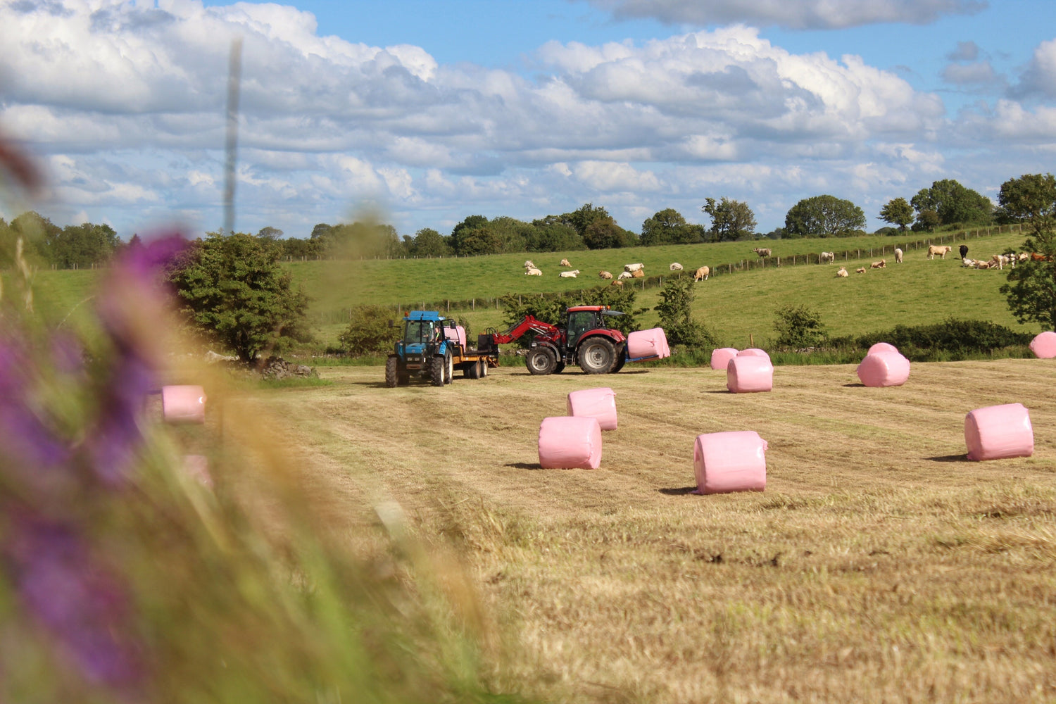 Six Tips for Better Quality Silage for 2023