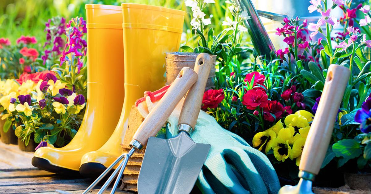 Spring Gardening Tips - by Brendan Farrell