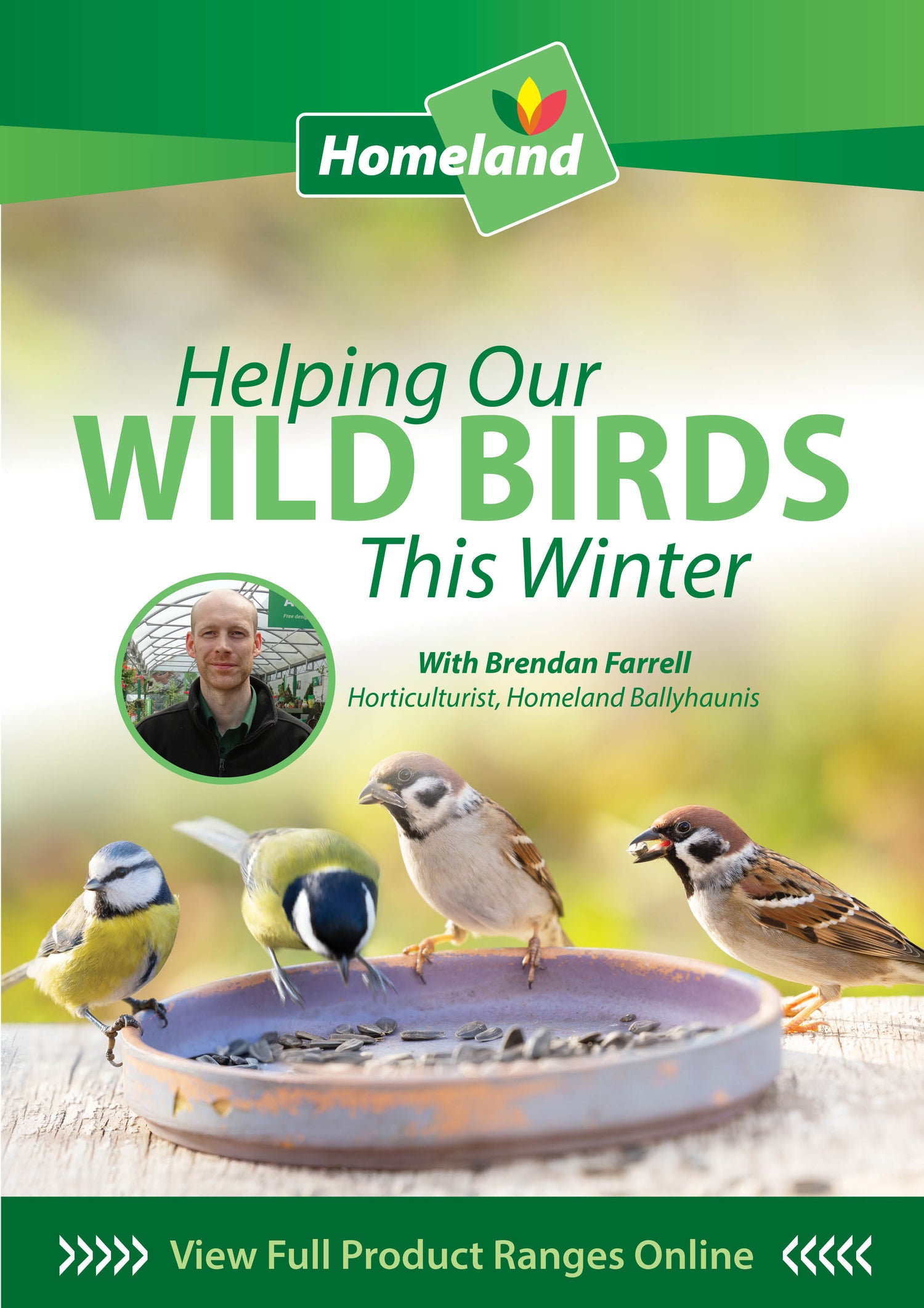 Helping our Wild Birds this Winter!