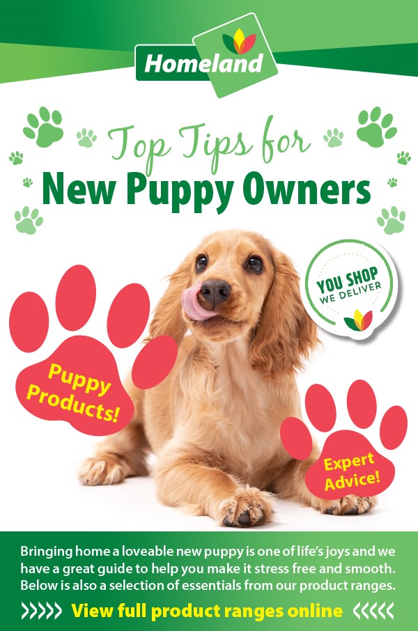 Top Tips for New Puppy Owners