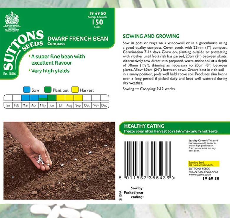 Dwarf French Bean &