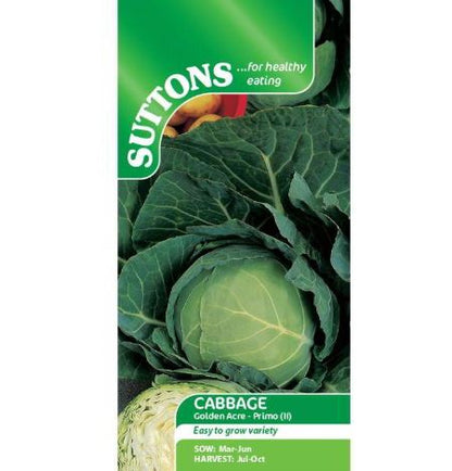 Cabbage &