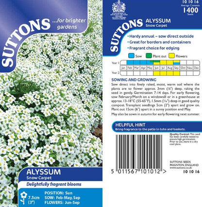 Alyssum &