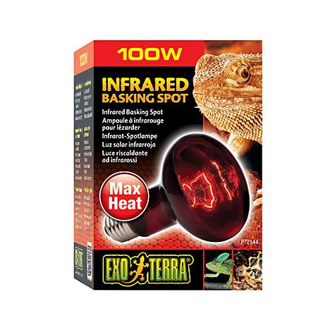 Exo Terra Heat Glo Infared Bulb - 100W