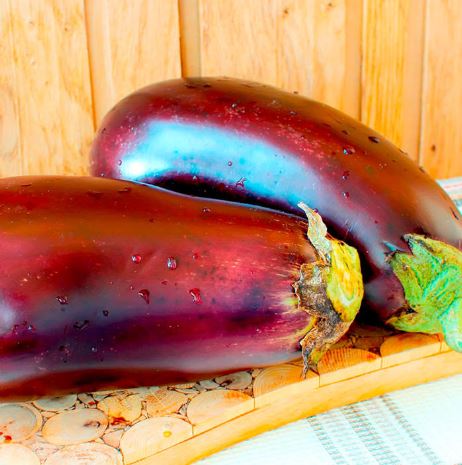 Aubergine F1 &