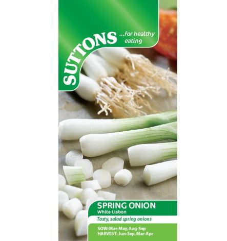 Onion (Salad) &