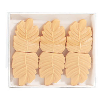 Amber &amp; Sandalwood Box of 6 Leaf Shaped Wax Melts by Woodbridge