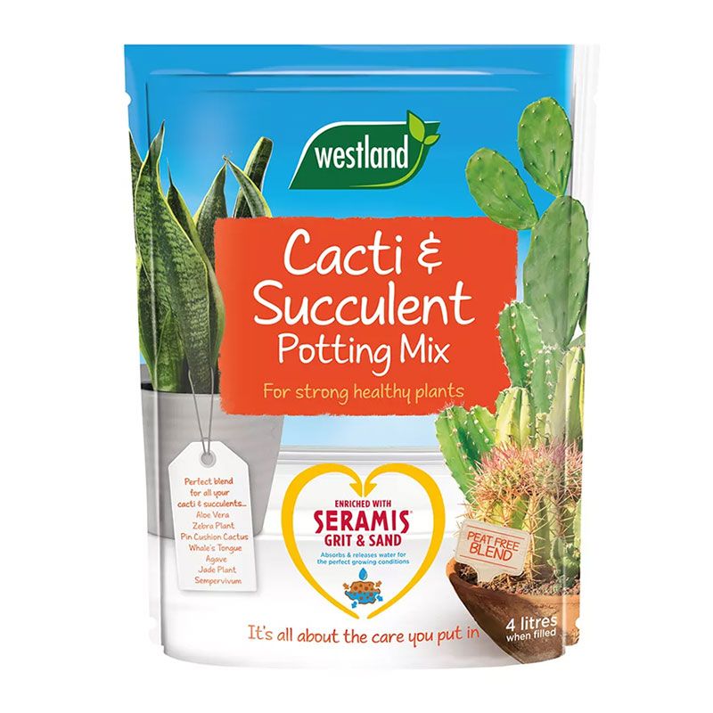 Westland Cacti &amp; Succulent Potting Mix Peat Free 4L