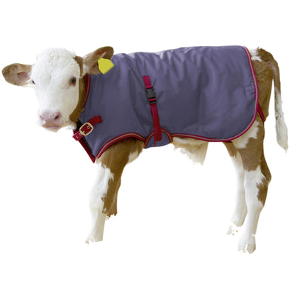 Calf Jacket Thermo Plus Breathable