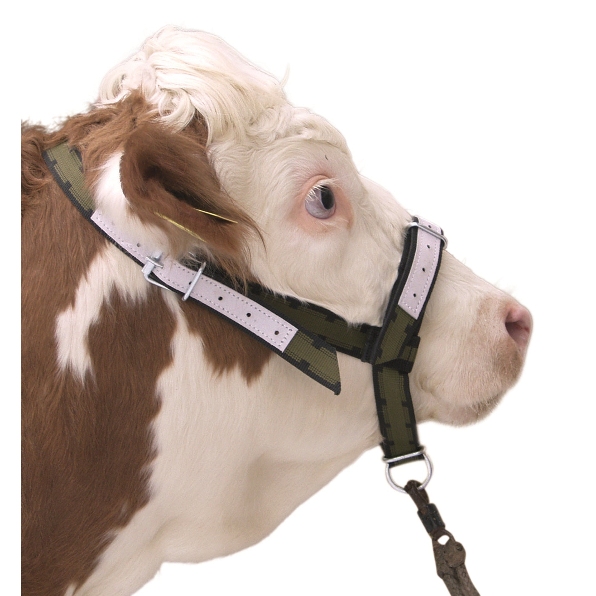 Nylon Cattle Halter Olive Green