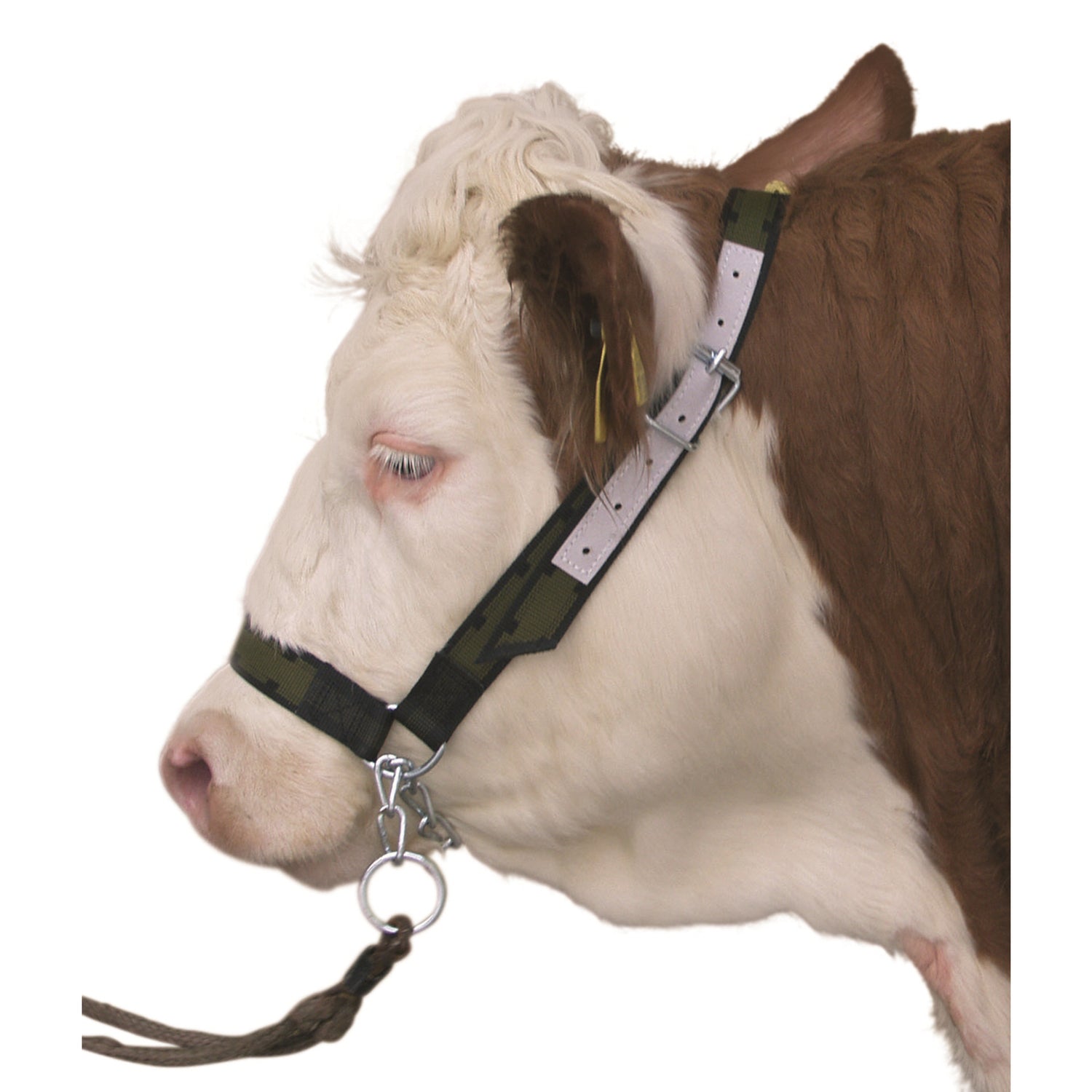 Nylon Cattle Show Halter Olive Green