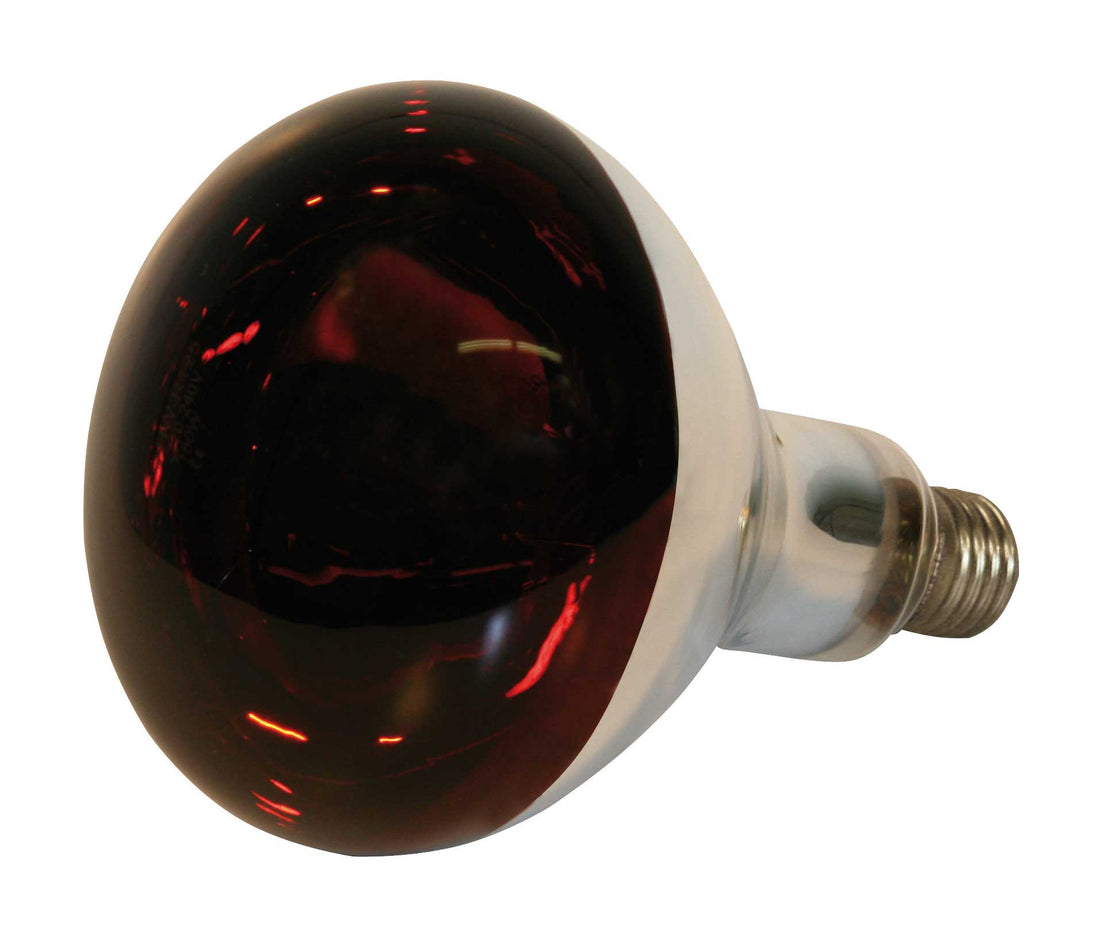 Kerbl Red Infrared Bulb 150W