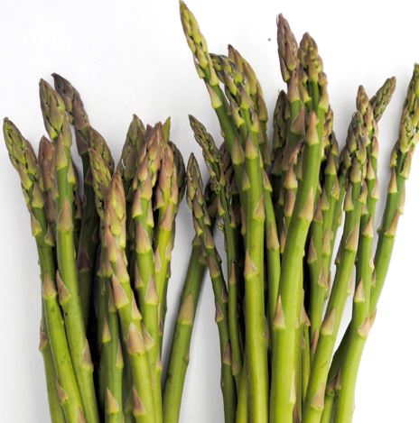 Asparagus F1 &