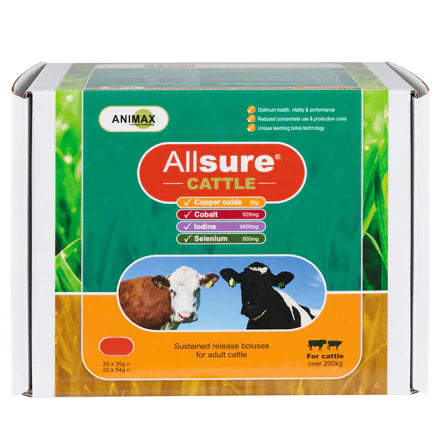 Allsure Cattle Boluses - 20 Pack