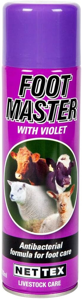 FOOTMASTER FOOTROT SPRAY 500ML