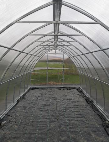 Ariana Polycarbonate Greenhouse 3m X 6m