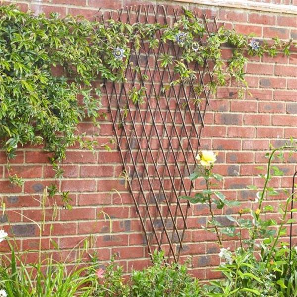 Expandable Willow Fan Trellis 1.8x0.9m