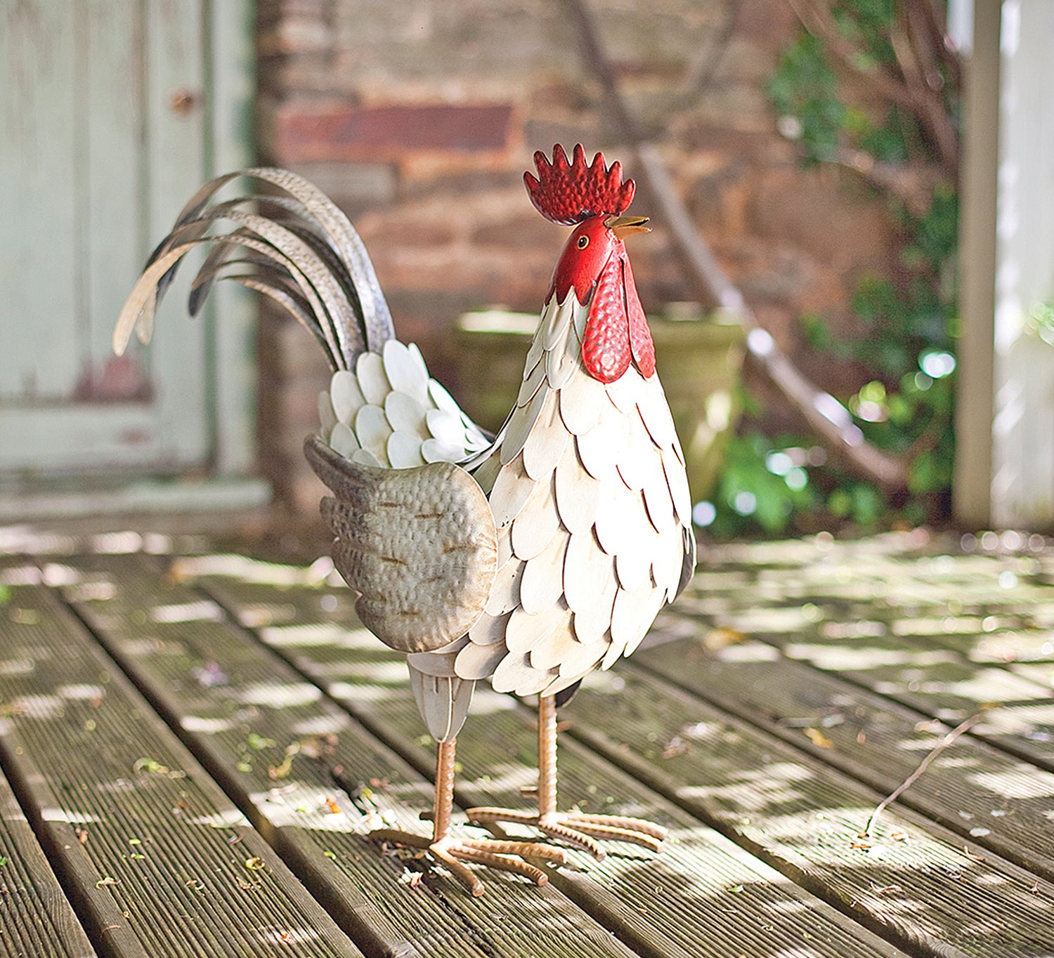 Feathered Cockerel