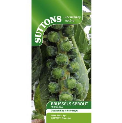 Brussels Sprout F1 &