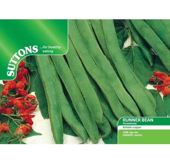 Runner Bean &