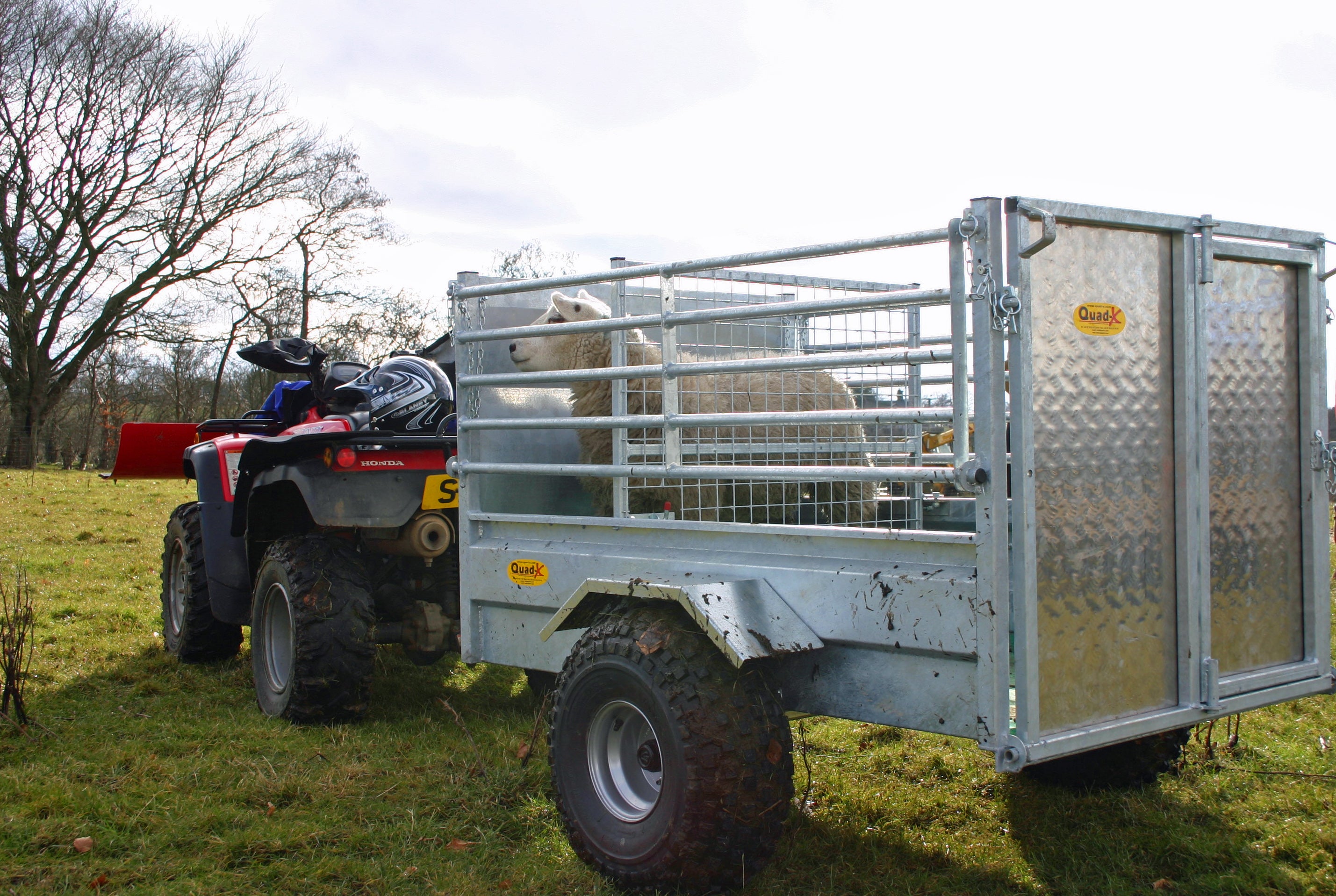 Quad-X ATV Stock Trailer Folding Side - 5 X 3&