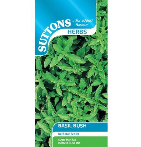 Basil Bush - Herb Seeds