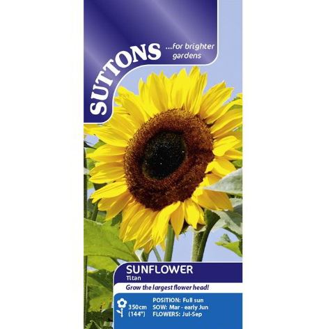 Sunflower &