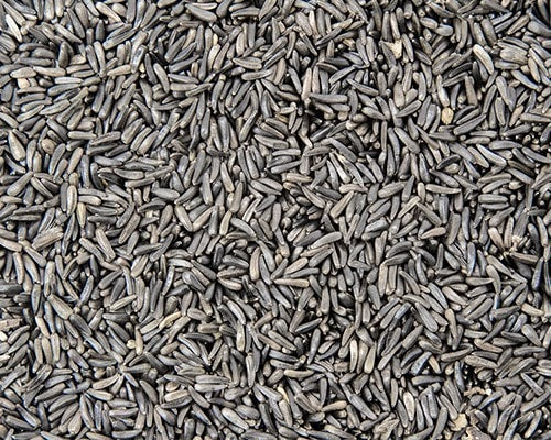 Niger Seed