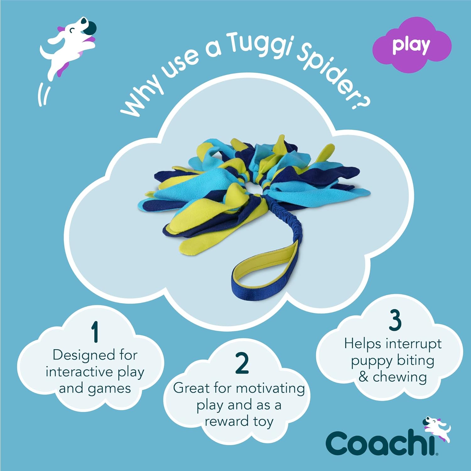 Coachi Tuggi Spider Dog Toy - Navy, Lime &amp; Blue