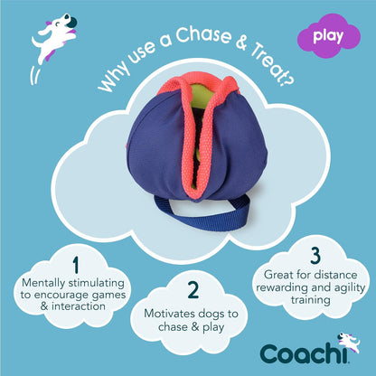 Coachi Chase &amp; Treat Dog Toy - Navy, Lime &amp; Coral