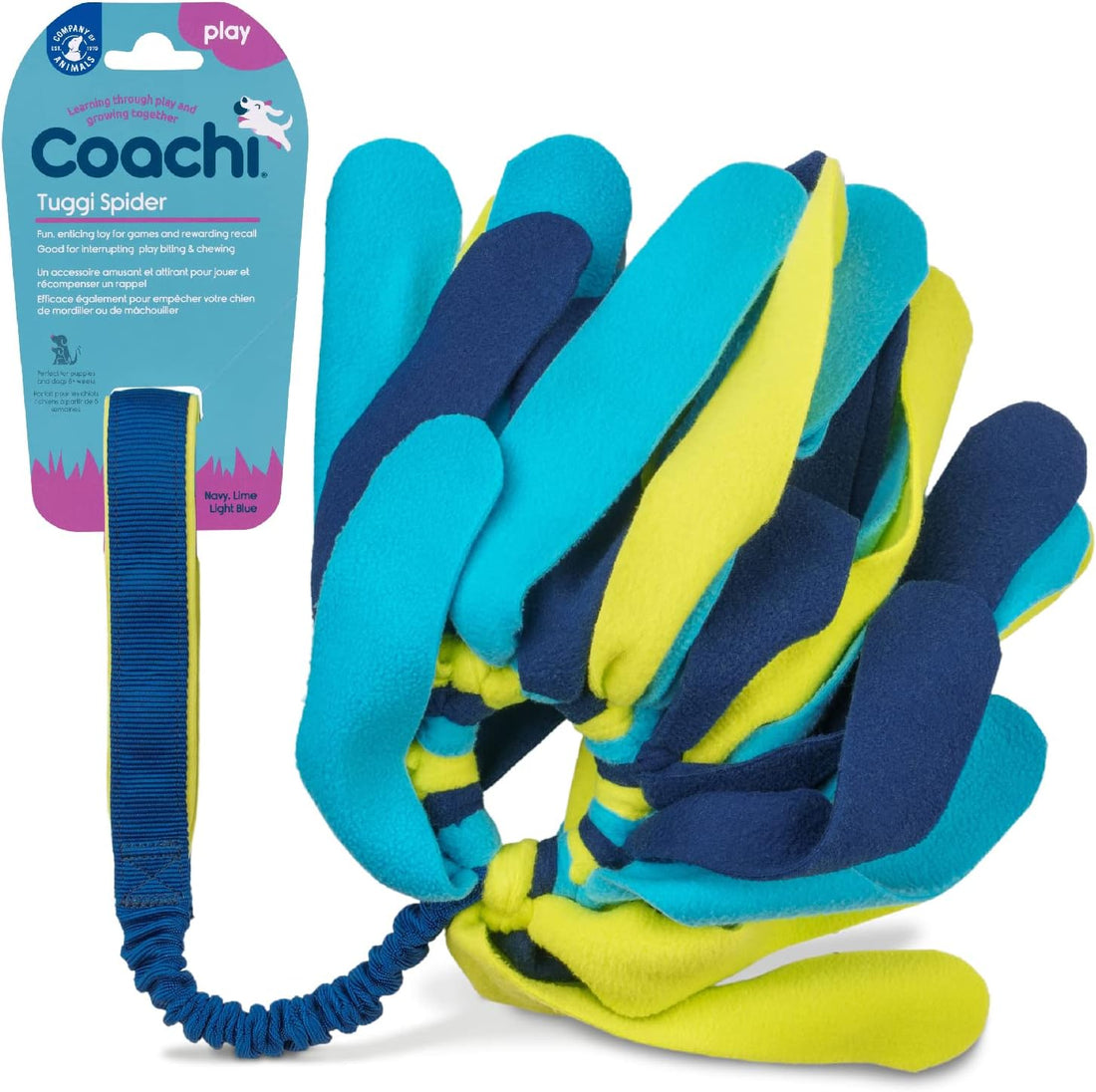 Coachi Tuggi Spider Dog Toy - Navy, Lime &amp; Blue