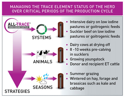 Alltrace Hi-Iodine - Single Bolus