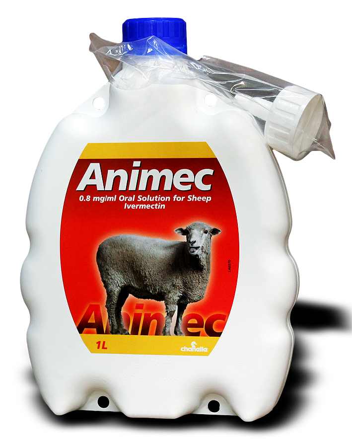 Animec Oral Sheep