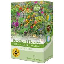 Beneficial Flowers Perfect for Pollinators Flower Seeds