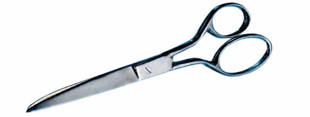 Straight Scissors 8.25&quot;