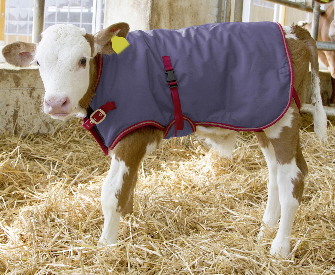 Calf Jacket Thermo Plus Breathable