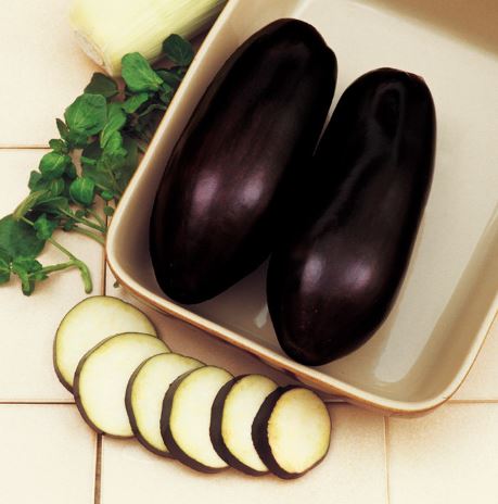 Aubergine &