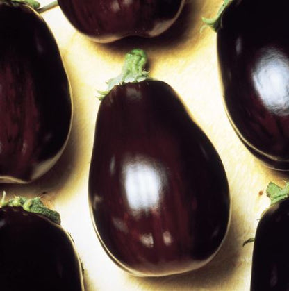 Aubergine &