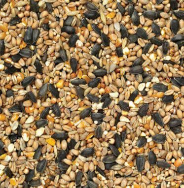 Wild Brid Seed Mix 1kg