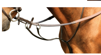 Leather Running Martingale