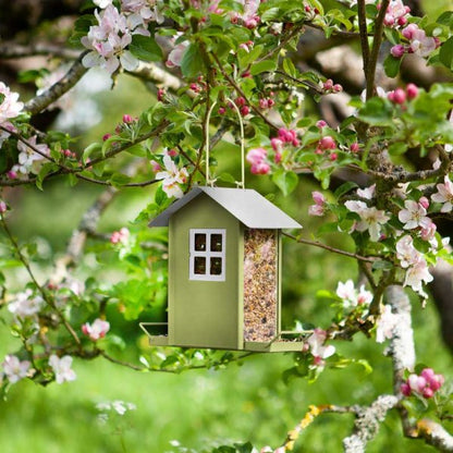 Beach Hut Feeder